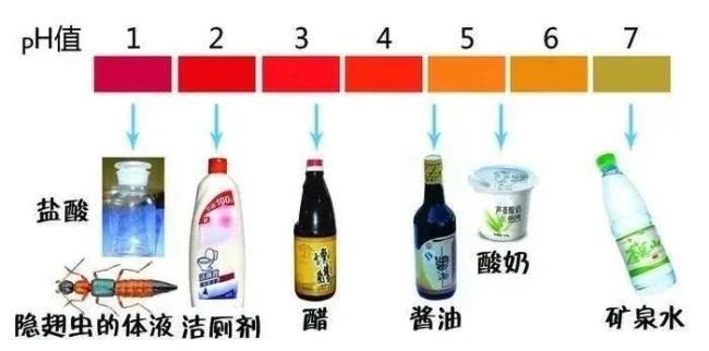 天津多地出现隐翅虫 科学防治方法需掌握