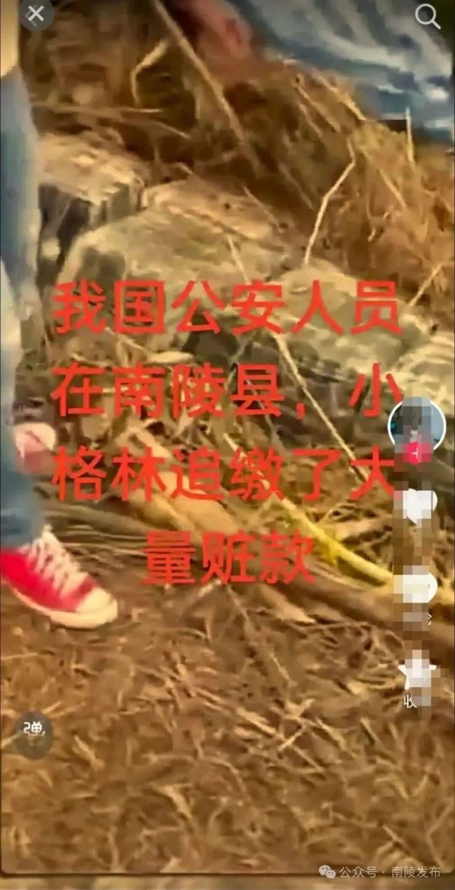 編造 “南陵輕軌”“超市倒閉” 信息 三人被處罰