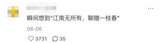 我爸给我寄了两支路边看到的花：爱与思念的传递