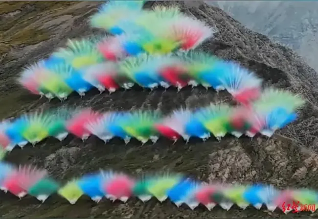 始祖鸟的烟花成功“炸醒”了谁 生态争议引发关注
