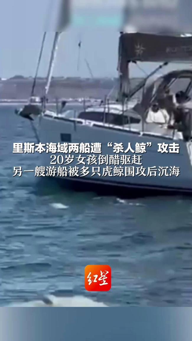 里斯本海域2艘船遭虎鲸症结 醋驱赶虎鲸奏效获救