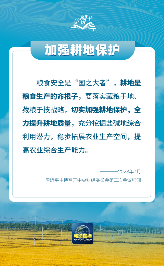 學習卡丨如何端穩(wěn)端牢中國飯碗？總書記這樣闡釋