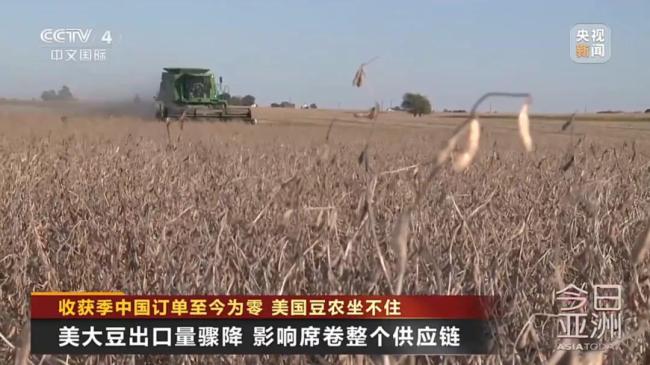 中國訂單：零！美國豆農坐不住了