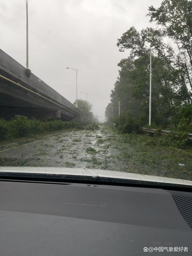 台风“桦加沙”为何会临门西折 副高强控下的路径突变