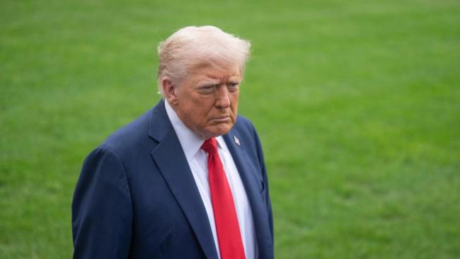 特朗普支持北约击落俄战机