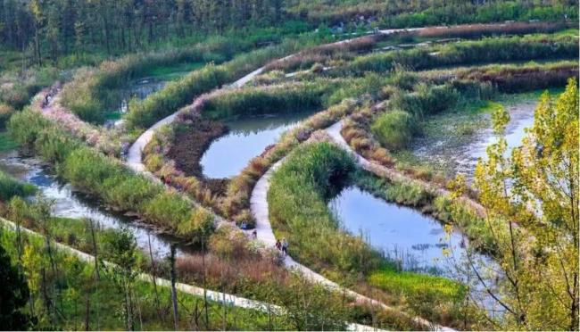 纪念俞孔坚：人与土地重修旧好 生态智慧的永恒印记