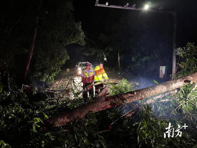 台风“桦加沙”过境，广东一养猪场顶棚被台风掀翻