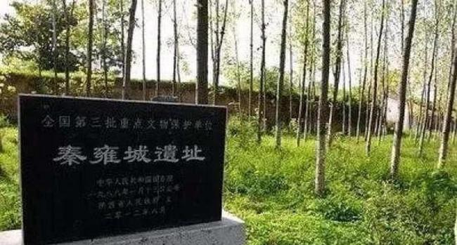 陕西农民犁地时挖出国宝 青铜遗珍引发争论