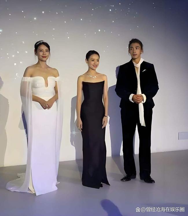 高圆圆董洁苏菲·玛索同框参加活动 灰色系穿搭展现年龄哲学