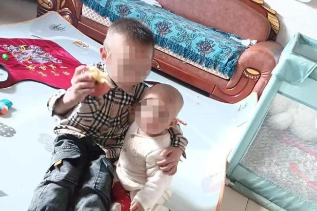 “夺命胡蜂”案追踪！云南两兄妹遭胡蜂蜇数百次身亡