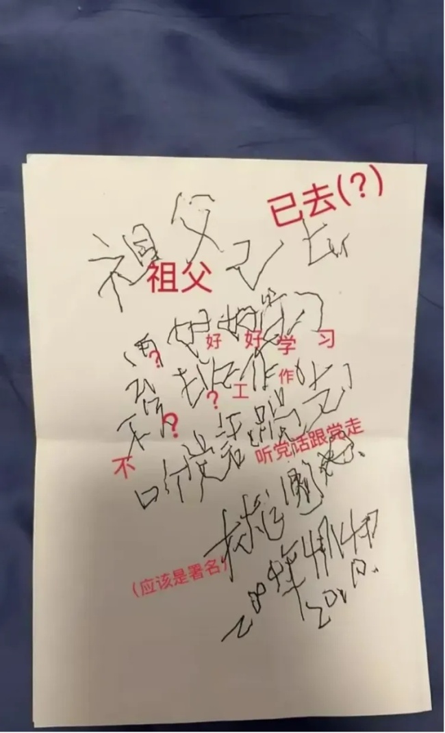 “这是奶奶去世前一周写的字，想请朋友们帮忙辨认一下……”