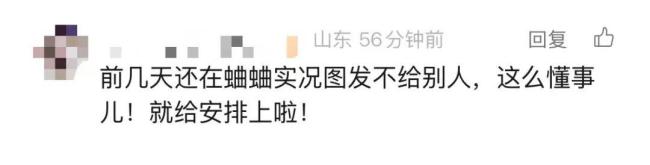 微信新功能上线 网友：正好假期需要 动态聊天更有趣