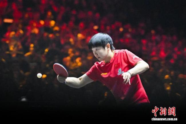 平野美宇：孙颖莎有很多地方值得学习 对手亦队友