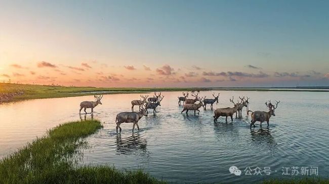 “苏超”是文旅项目实锤了 国庆观赛游江苏
