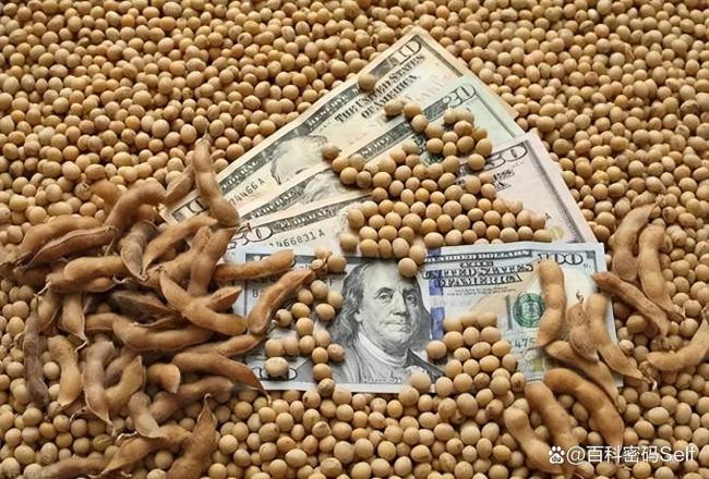 美大豆正值收获季 中国订购量却是零
