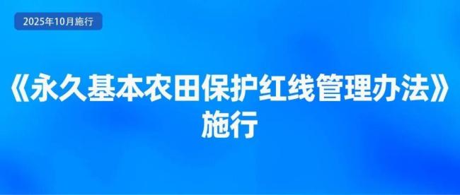 10月起,这些新规将影响你我生活 电子化服务普及