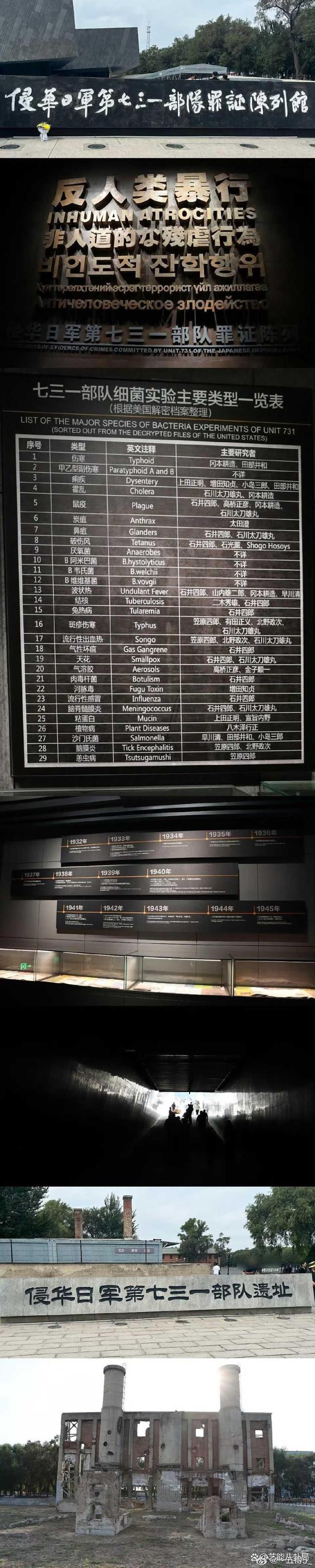 被差评遮蔽的《731》与历史重量 票房逆袭见证真相力量
