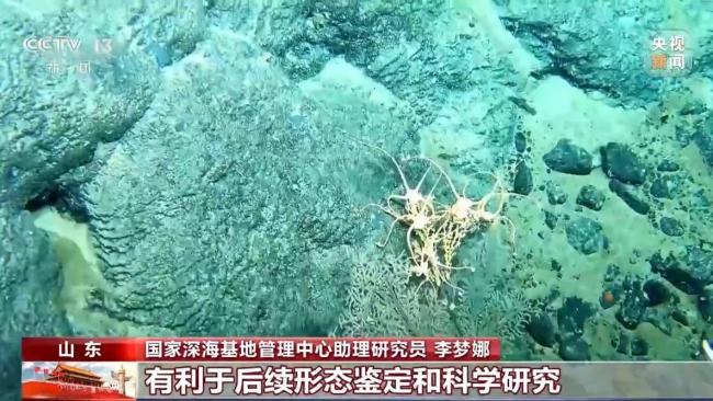 中国双潜器在北极深海实现多个首次 载人无人协同作业