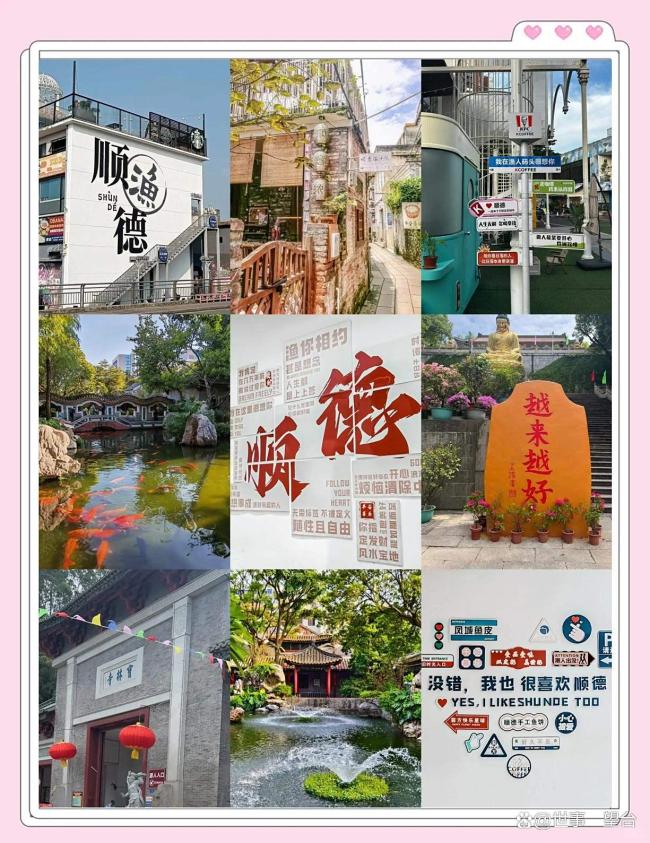女子开100多公里体验顺德机关食堂 政务空间变身网红打卡地