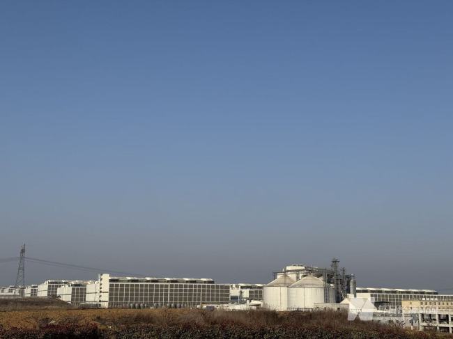 AI靠听咳嗽声监控猪是否健康 智慧养殖新趋势