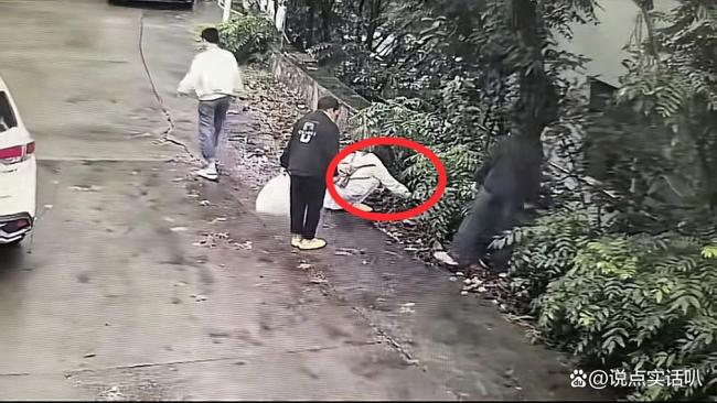 游客称捡板栗壳被民宿老板娘诬陷偷盗 一场误会引发的风波
