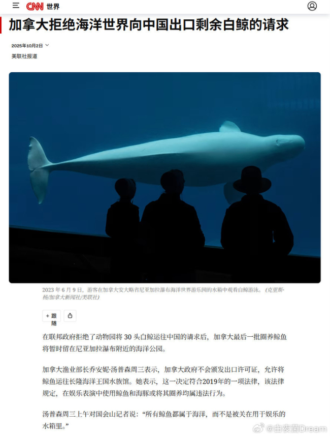 全杀也不卖给中国？加拿大30头白鲸面临安乐死