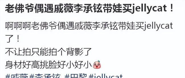 偶遇『戚薇』李承铉带儿子逛凡尔赛宫 幸福家庭模板