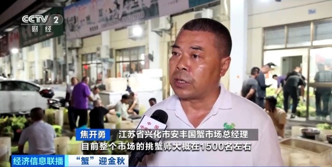 月收入2万“金牌🥇挑蟹师”如何选螃蟹 30年经验揭秘