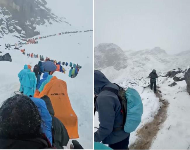 珠峰暴雪向导一人一狗带超百人撤离
