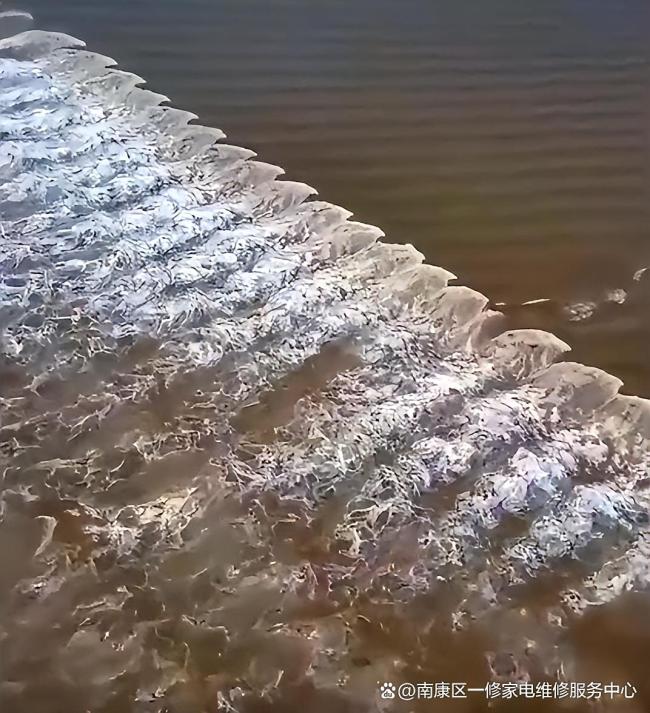 钱塘江再现鱼鳞潮