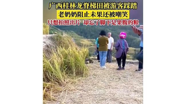 大理网红稻田遭游客大面积踩踏 田园风光变“展览馆”