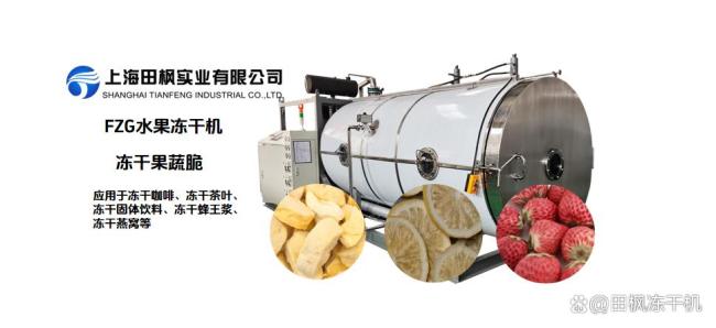 冻干果蔬脆和低温油炸果蔬脆有什么区别