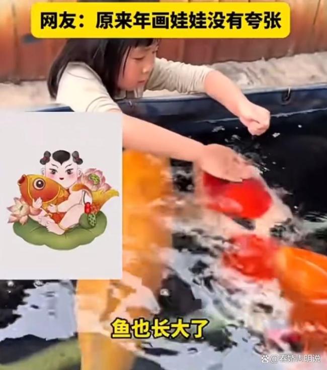 趵突泉胖锦鲤疑病重 过度投喂惹祸