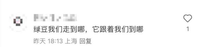 长假一群人带着绿豆游遍祖国 特别的作业之旅