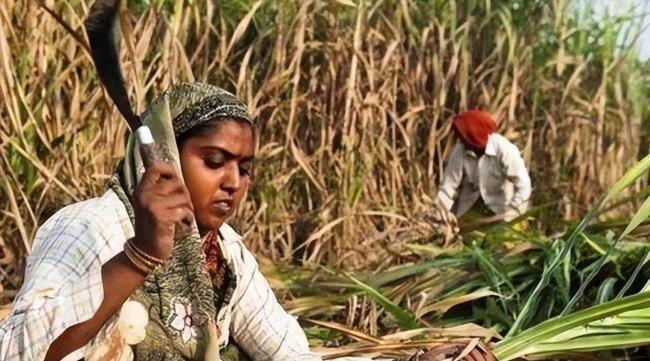 美媒聚焦中国“下一代大运” 印度能否接棒引发质疑