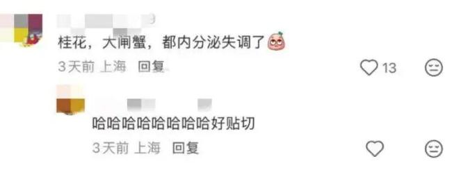 上海一直热 植物都“内分泌失调”了 桂花刷新最晚开花纪录