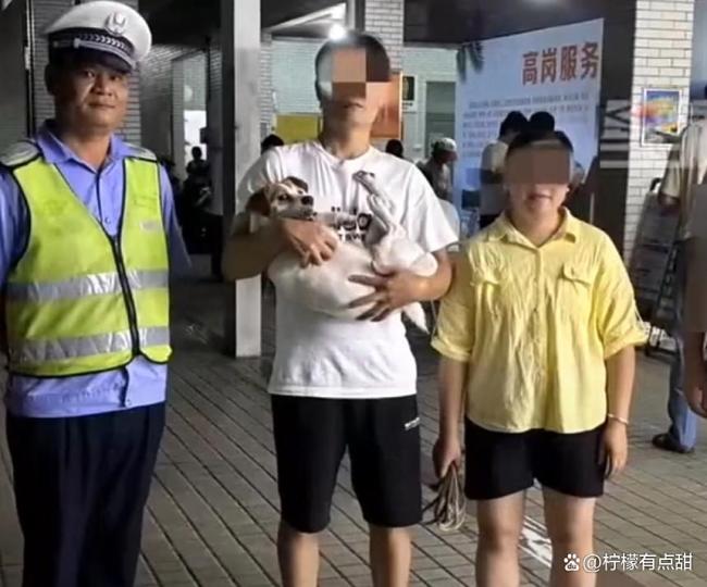 被遗忘服务区的小狗等到主人 温暖团圆结局