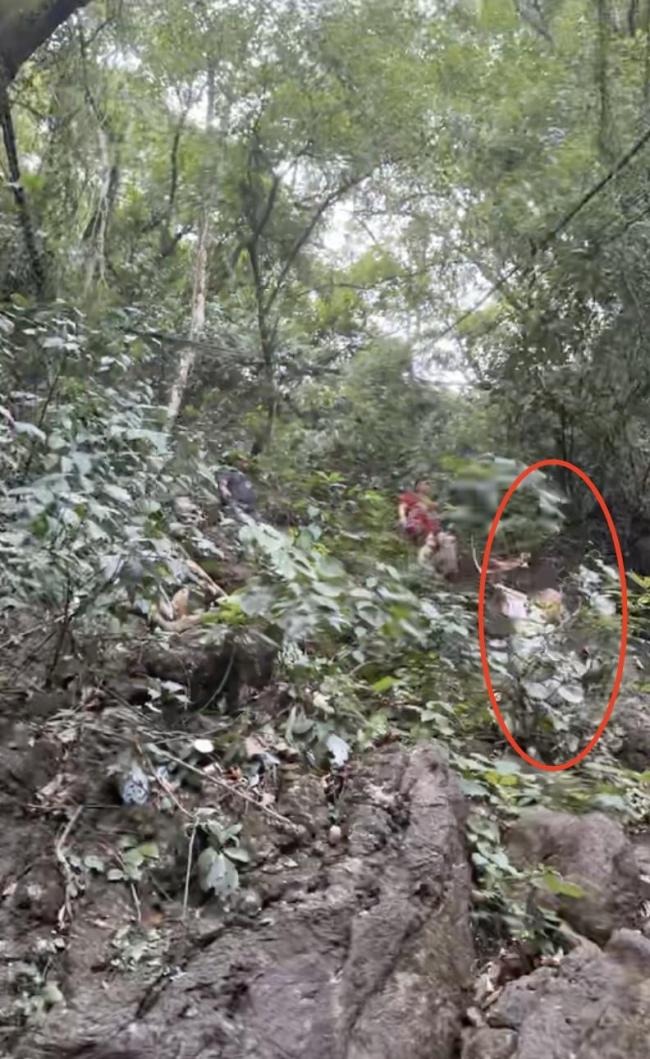 退伍小伙一把抱住从山上滑落的孩子 下面就是悬崖