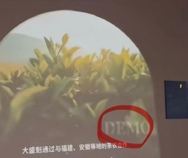 景区回报播放视频带DEMO水印