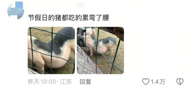 假期动物园内动物已吃出