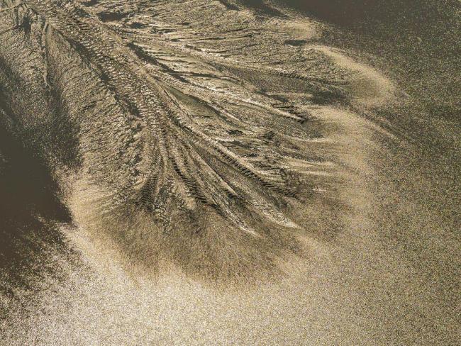 潮落钱塘 “树”生潮汐 壮丽奇观添趣味