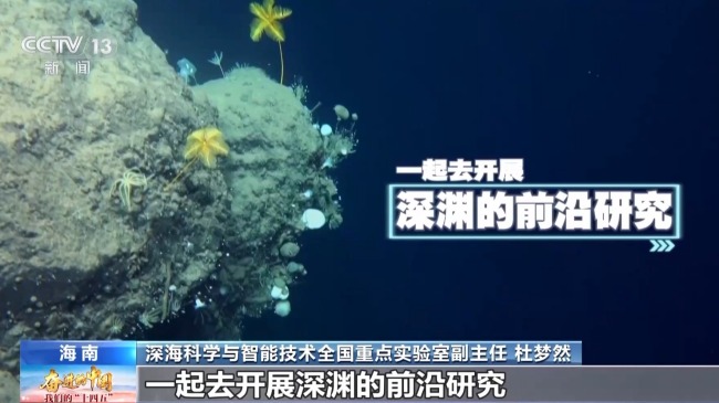 不斷逐夢深藍！我國萬米載人深潛實現常態化