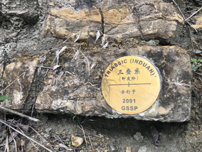 中国已有11颗“金钉子” 地球历史的黄金坐标