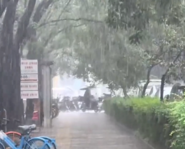 陕西秋雨已持续39天 西安城墙变绿长蘑菇