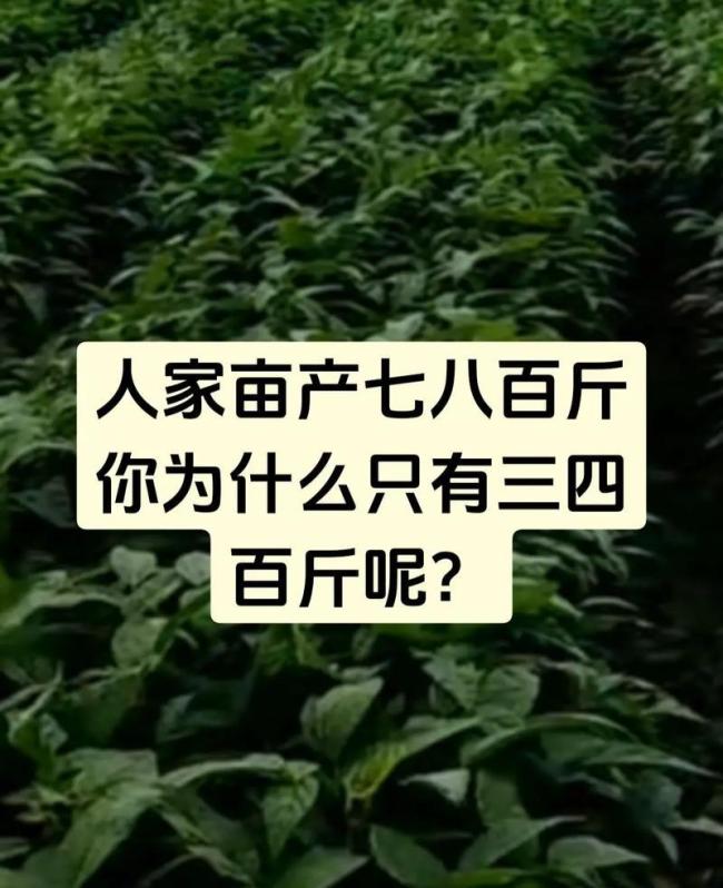 美国大豆会用人民币结算吗 全球农业版图地震