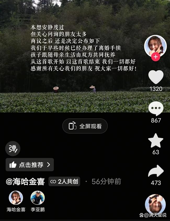 李亚鹏仳离 倏得婚配告终