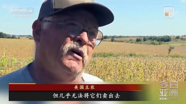 美豆滞销陷绝境,国人献策种大麻！