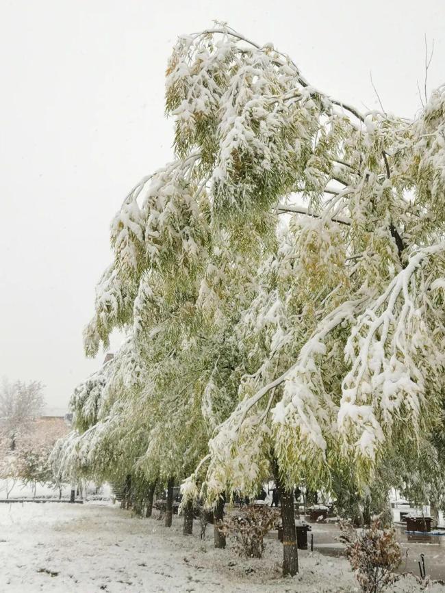 多地迎剧烈降温！大雪大暴雨来了 换季式降温来袭