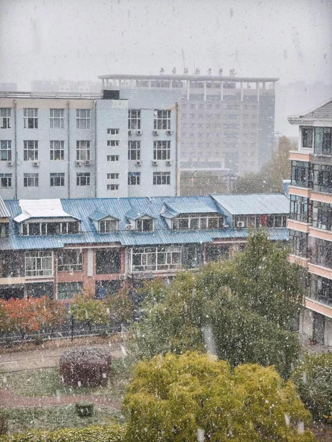 多地迎剧烈降温！大雪大暴雨来了 换季式降温来袭