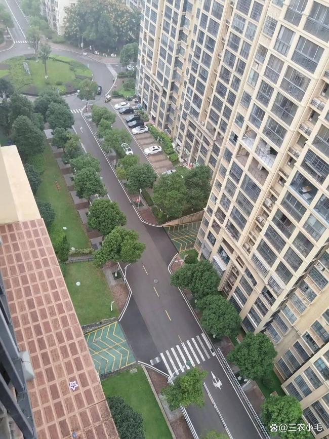 不是迷信！老话“冷不冷，就看八月廿五” 秋旱预警信号